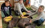 Развлекательно-игровая программа Маша и Медведь - 2